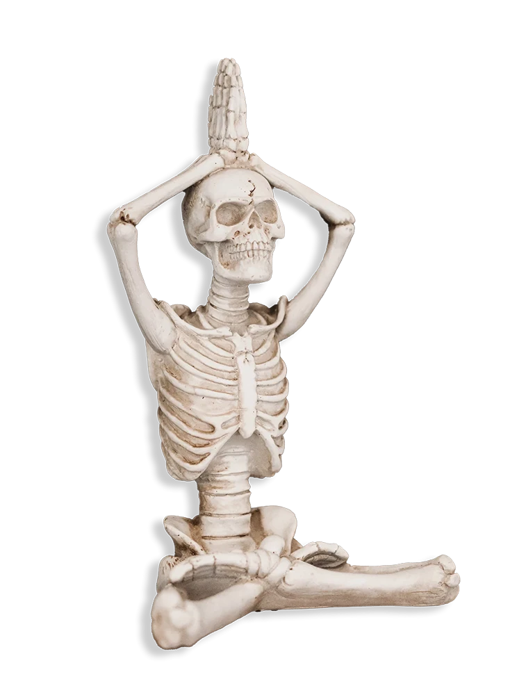 Chiropractic Olympia WA Yoga Skeleton